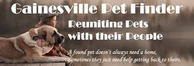 Haile's angels pet rescue is a recognized 501(c)(3) not‐for‐profit organization. Gainesville Pet Finder Posts Facebook