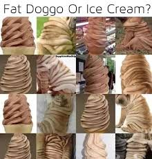 A realm reborn collector's edition: Fat Doggo Or Icecream Roughsearpebapas