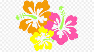 Slide crayon on the hawaii pua aloalo to the louisiana magnolia! Drawing Of Family Clipart Drawing Flower Plant Transparent Clip Art