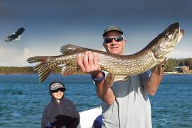 Fishing lake is located on the berens river chain and has over 100 miles of dunlop fishing lodge www.dunlopfishing.com trophy northern pike fishing in northern manitoba. Fly In Fishing Paradise Laurie River Lodge Manitoba Midwest Outdoors