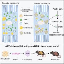 Image result for Roman Green 1929 Nash