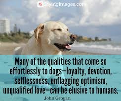 I hope that another inspirational dog quote, by john grogan, will remind you how lucky you are to have them in your life. Dog Love Quotes On Unconditional Love And Belly Rubs Inspiring Pictures Quotes Sayingimages Com