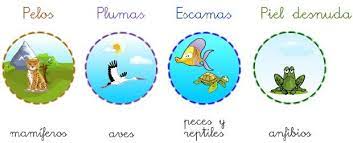 Pin En Ciencias