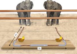 Cooperating elephants mitigate ...