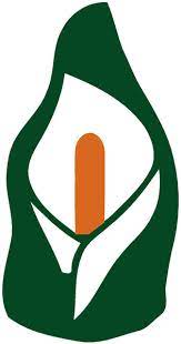 Download Irish Republican Easter Lily Free Vector In Open Office Drawing Svg Svg Vector Illustration Graphic Art Design Format Format For Free Download 31 68kb