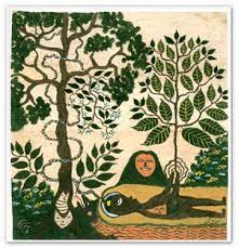 Art Inspiration Shaman Plant Book Books