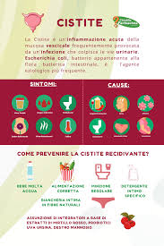 In caso di cistite, l'infiammazione delle vie urinarie, una dieta specifica può avere una funzione preventiva o può contribuire alla guarigione anche nel momento in cui si sta già seguendo una terapia farmacologica prescritta dal proprio medico. Pin Su I Consigli Del Farmacista