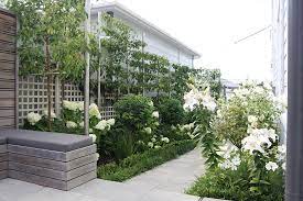 Hedge Garden Design Topiary Plants For Sale Wellington Garden Design Side Garden Small Garden Design