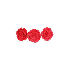 We did not find results for: Sugarsoft Edible Flower Roses Strawberry Red 50mm Box Of 10 Edibles From Fabricake Online Limited Uk