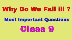 It implies the idea of being well. Class 9 Why Do We Fall Ill Most Important Questions Youtube