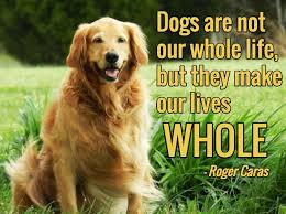 That's why we've compiled this list of our favorite loss of pet poems. 13 Dog Loss Quotes Comforting Words When Losing A Friend