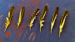 Check spelling or type a new query. Yellow Shafted Feathers Regenaxe