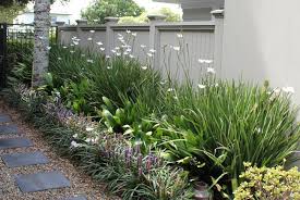 Auckland Garden Design Fest Garden Design Layout Landscaping Low Maintenance Garden Design Garden Design Layout