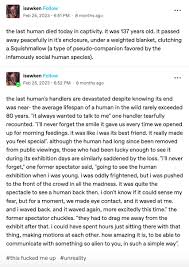 The last human : rtumblr