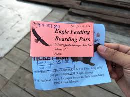 Enter your dates to find available activities. Eagle Feeding Kuala Selangor Price