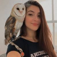 400+ "Mayworm" profiles