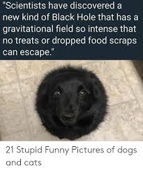 We were so entertained, we couldn't help but share. 25 Best Memes About Stupid Funny Pictures Stupid Funny Pictures Memes