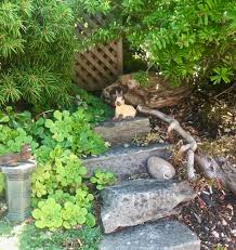 We did not find results for: Oh Deer Tips On How To Keep The Deer And Rabbits From Invading Your Gardens The Mini Garden Guru