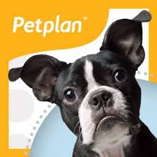 ✓ free for commercial use ✓ high quality images. Petplan Pet Insurance North America Crunchbase Company Profile Funding