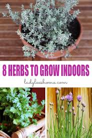 Use a support of some type, like a narrow ladder or open wall rack to control the growth of the flowering vines. 8 Herbs To Grow Indoors Year Round Lady Lee S Home