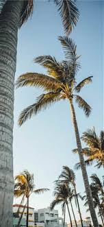 Collins ave miami beach florida #miami #florida #miamibeach #sobe #southbeach #brickell #miamibeach. Best Fl Iphone X Hd Wallpapers Ilikewallpaper