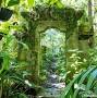 Kona Cloud Forest Sanctuary reviews from hawaiianislands.com