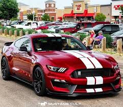 Mustang Gt350 Gtstripes Voertuigen Auto S