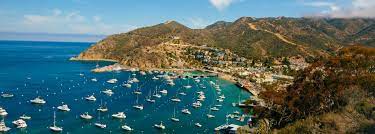 Ferry boats to catalina island depart from four different ports: Catalina Island Packages And Special Offers Catalina Island