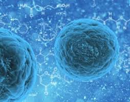 For these reasons there are great benefits to be derived from rapid methods. 3d Culture For Cells Methods And Applications A Short Review Elveflow