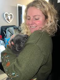 Mum and dad's new blue staffy vinnie. How cute is he. He is the 3rd staff  that's been in the family and what a dog they are. Most loyal dog out there.