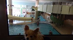 La Superbe Piscine D Orcieres Merlette Picture Of Orcieres Merlette 1850 Tripadvisor