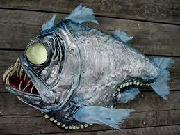 pin by tomasin chair leg on insipration for paintings deep sea creatures deep sea animals deep sea life
