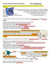 Back to natural selection worksheet. Copy Of Natural Selection Worksheet Docx Darwin U2019s Natural Selection Worksheet Name Melody Mitchell Read The Following Situations Below And Identify Course Hero