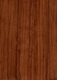 Wood Solutions Real Wood Veneer Species