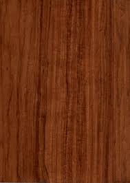 wood solutions real wood veneer species