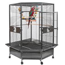 Bird Cage Seed Guard Acrylic Uk Rainforest Toronto Large Corner Parrot Cage Parrotize Uk Parrot Cages For Sale Large Parrot Cage Parrot Cage