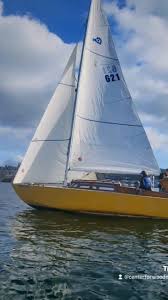 Image result for Yellow 1976 Fleet
