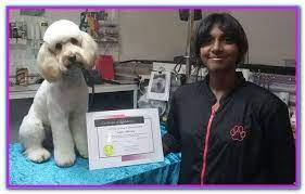 Best Dog Grooming Prices Near Me Here Is The Definitive List Of Dog Groomers Near Your Location As Rated By Yo Dog Grooming Dog Training Obedience Best Dogs