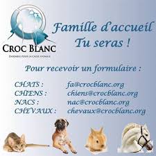 We did not find results for: Nous Avons Besoin De Vous Pour Exister Croc Blanc