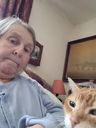 Larry the Downing Street Cat for Prime Minister!