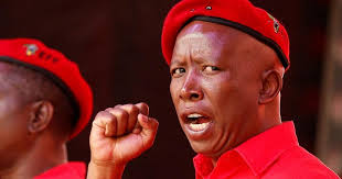 Ruling party grapples with democratic alliance challenge and eff seeks to make inroads. South Africa Julius Malema Re Elected As Eff Leader Africanews