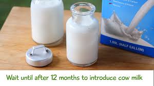 Can breastfeeding babies have milk allergy? Dairy For Baby Introducing Yogurt Milk And Cheese In Your Baby S Diet Buona Pappa