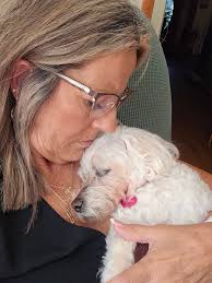 Loss of a beloved pet and coping with grief