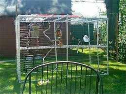 An aviary need only be 3ft or 4 ft high but very wide say 14 ft. Pvc Aviary Parrot Society Of Nw Ohio S Blog
