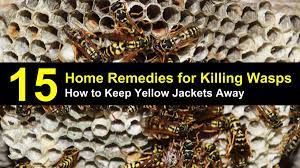 How To Keep Yellow Jackets Away From Your Home 15 Home Remedies For Killing Wasps