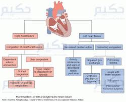 Pin On Nursing Health Science Human Body Facts