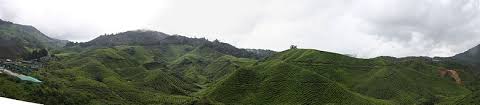 கேமரன் மலை) is a district in pahang, malaysia occupying an area of 712.18 square kilometres (274.97 sq mi). Cameron Highlands Wikipedia