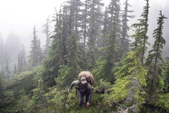 Steep And Deep: Mountain Goat Hunting In British Columbia - Petersen's Hunting