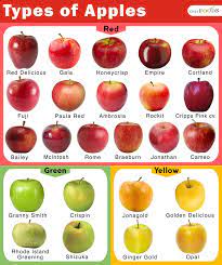 24 Of The Most Popular Types Of Apples Red Delicious Apples Apple Apple Varieties