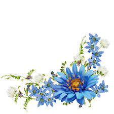 Perfect for wedding, invitations, greeting cards, dial, quotes, pattern, logos, lettering, etc. Cvetochnye Ugolki Avtor Koaress Mir Kliparta Dipingere Fiori Fiori Cornici